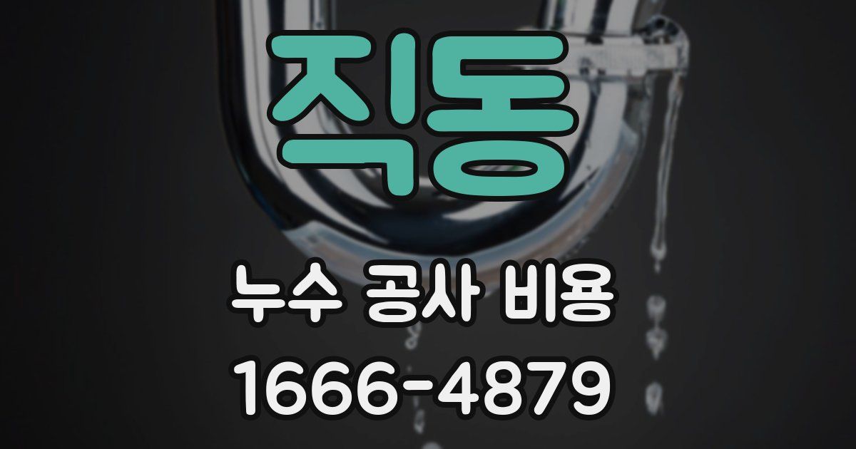 직동 누수 공사 비용