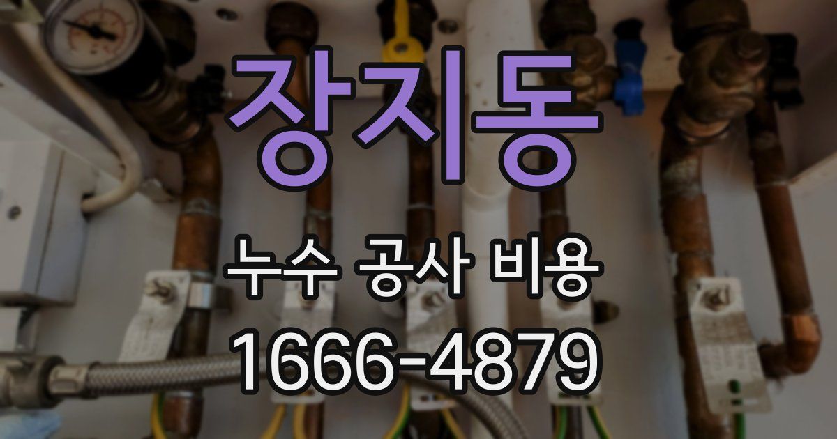 장지동 누수 공사 비용