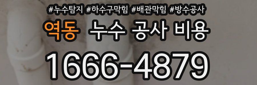 역동 누수 공사 비용
