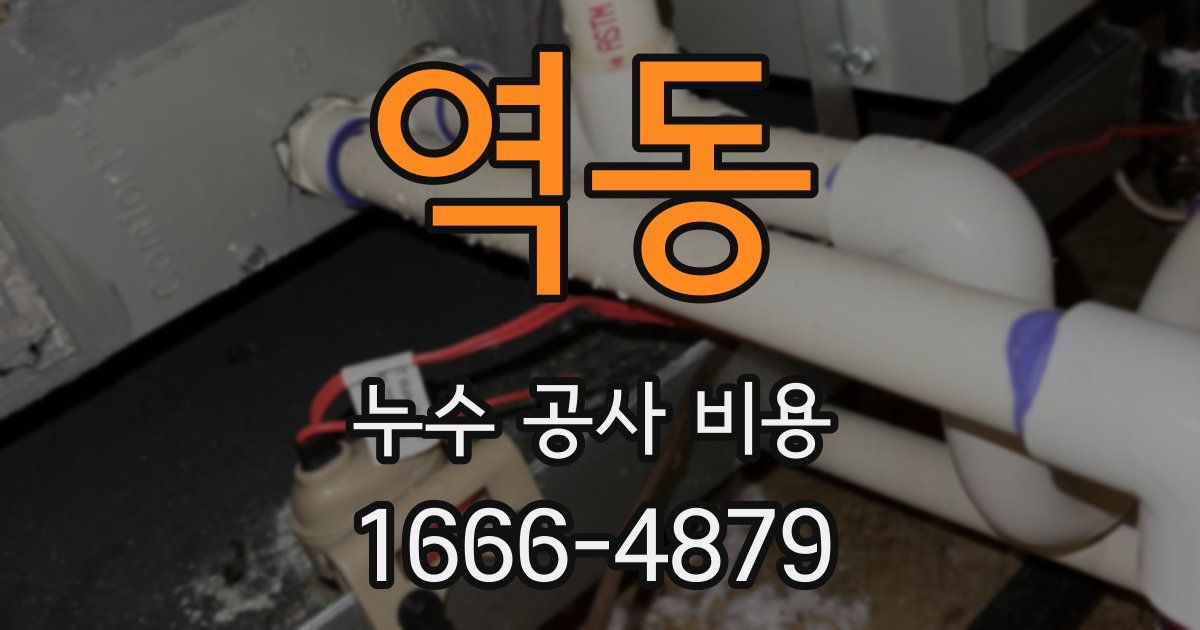 역동 누수 공사 비용
