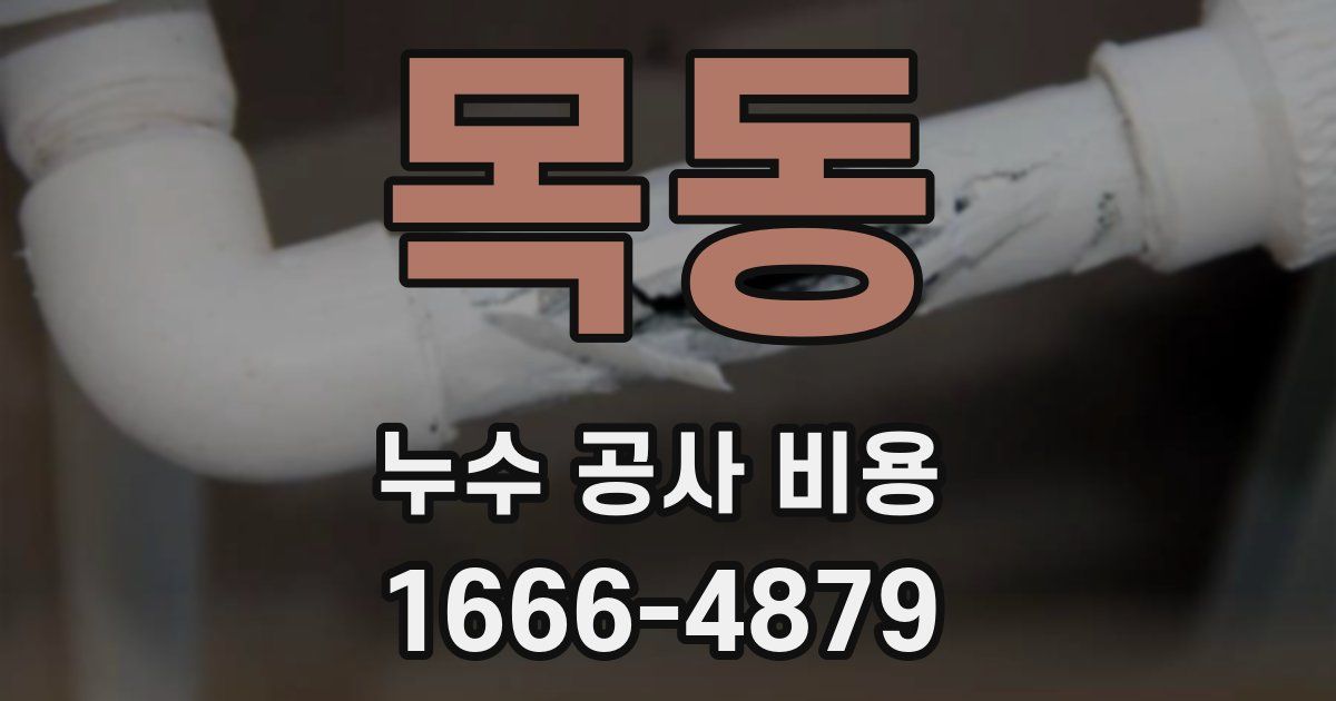 목동 누수 공사 비용