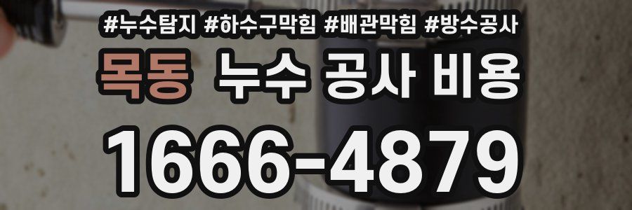 목동 누수 공사 비용