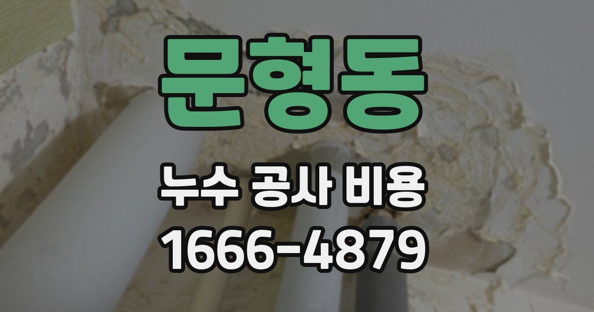 문형동 누수 공사 비용
