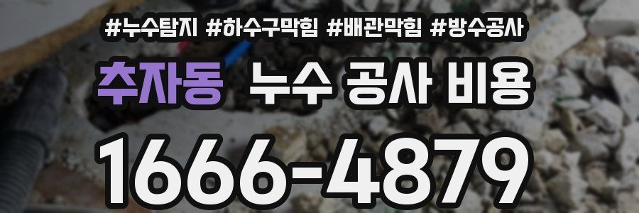 추자동 누수 공사 비용