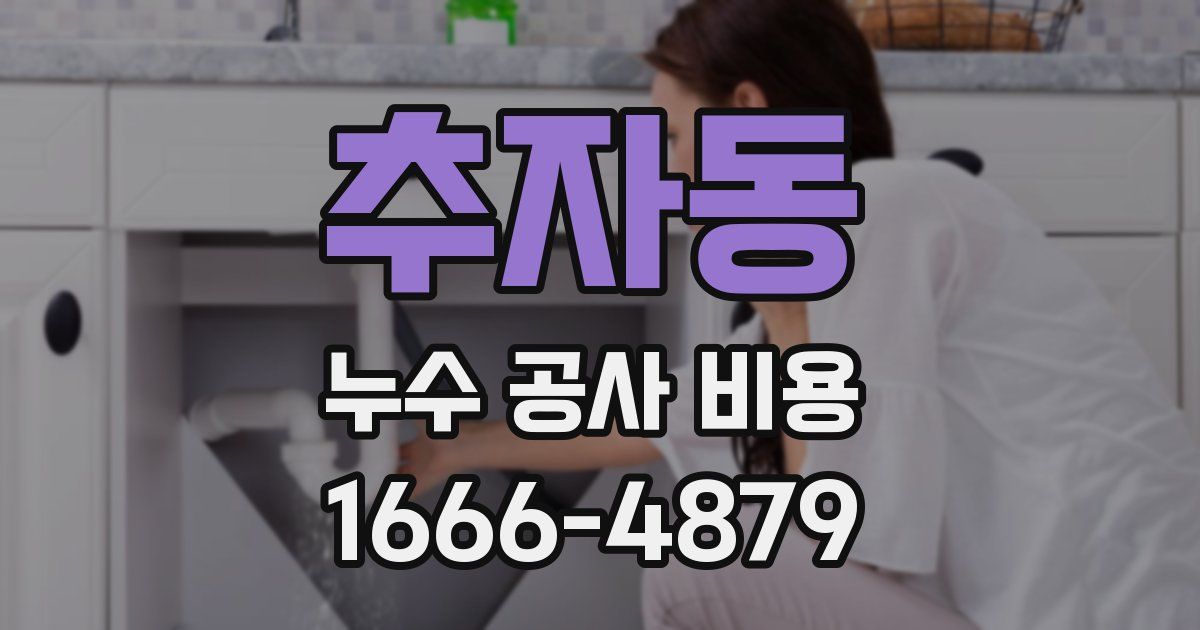 추자동 누수 공사 비용