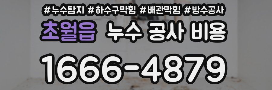 초월읍 누수 공사 비용