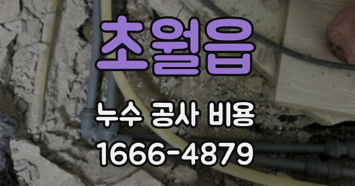 초월읍 누수 공사 비용