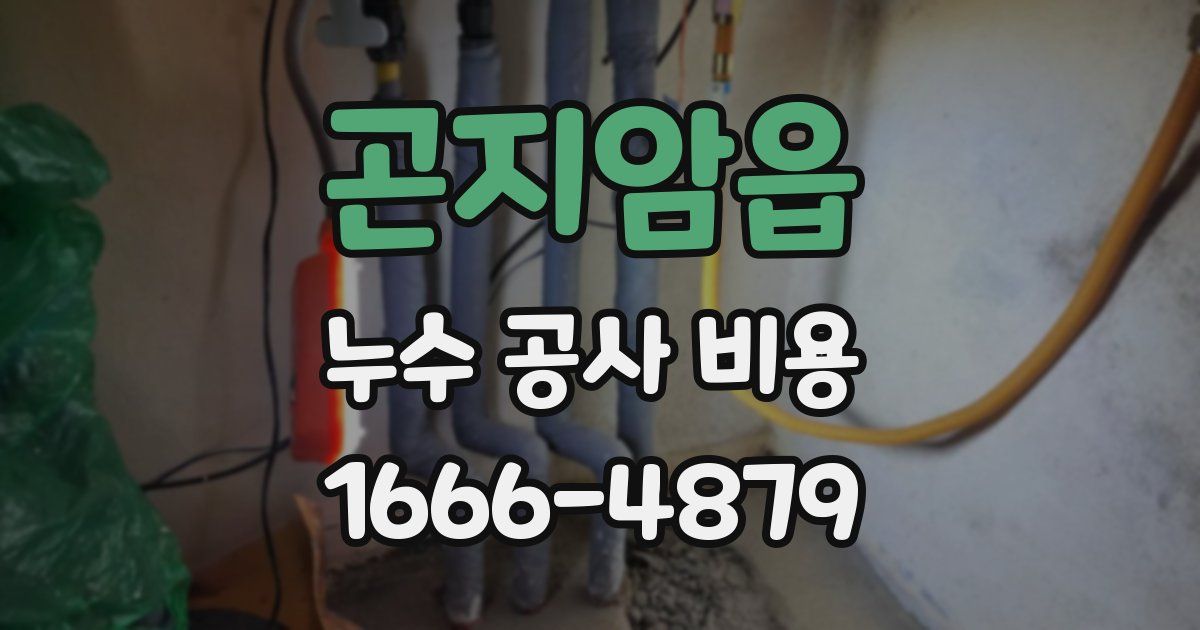 곤지암읍 누수 공사 비용