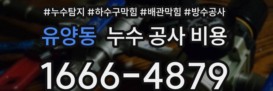 유양동 누수 공사 비용