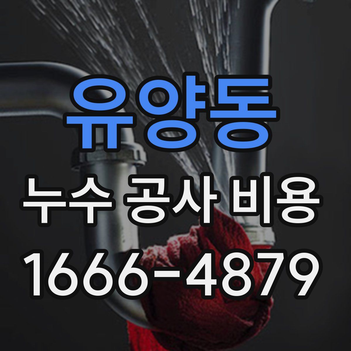 유양동 누수 공사 비용