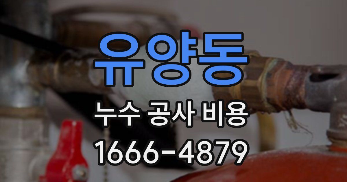 유양동 누수 공사 비용