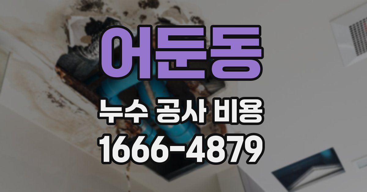 어둔동 누수 공사 비용