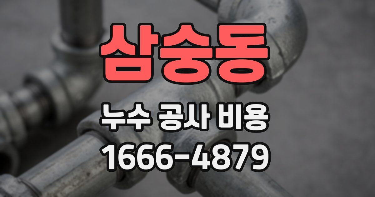 삼숭동 누수 공사 비용