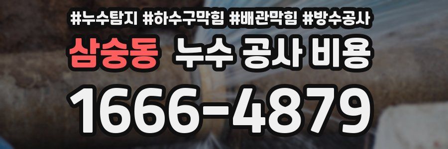 삼숭동 누수 공사 비용