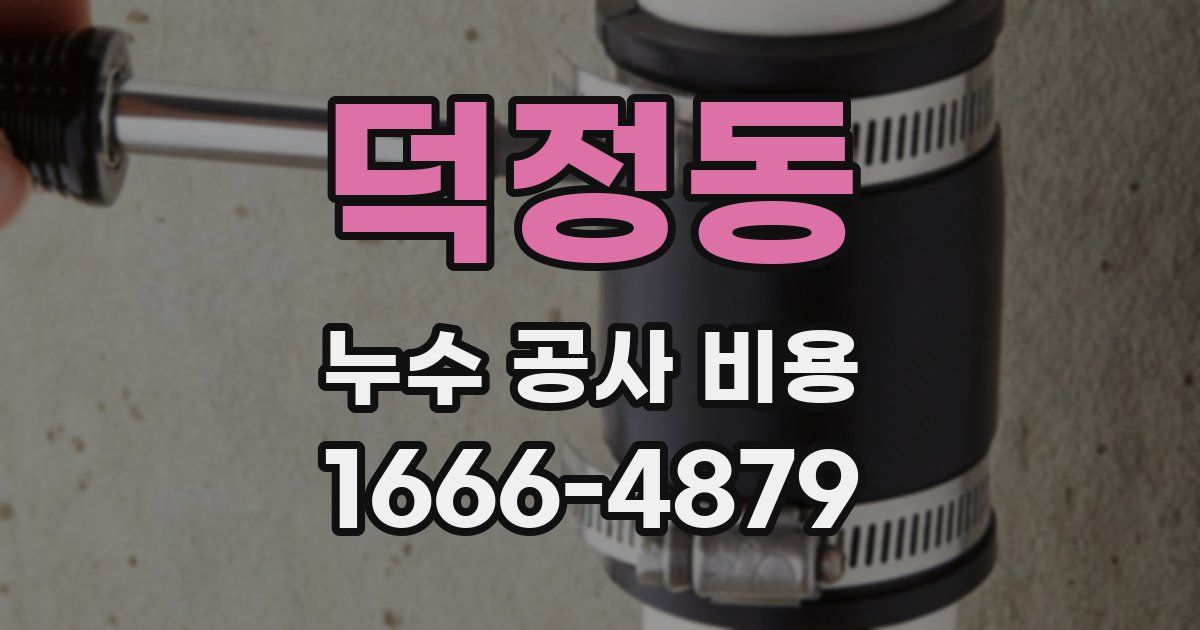 덕정동 누수 공사 비용