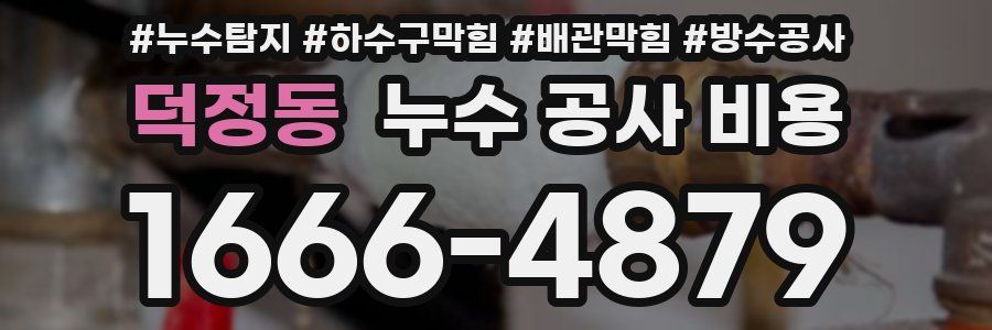 덕정동 누수 공사 비용