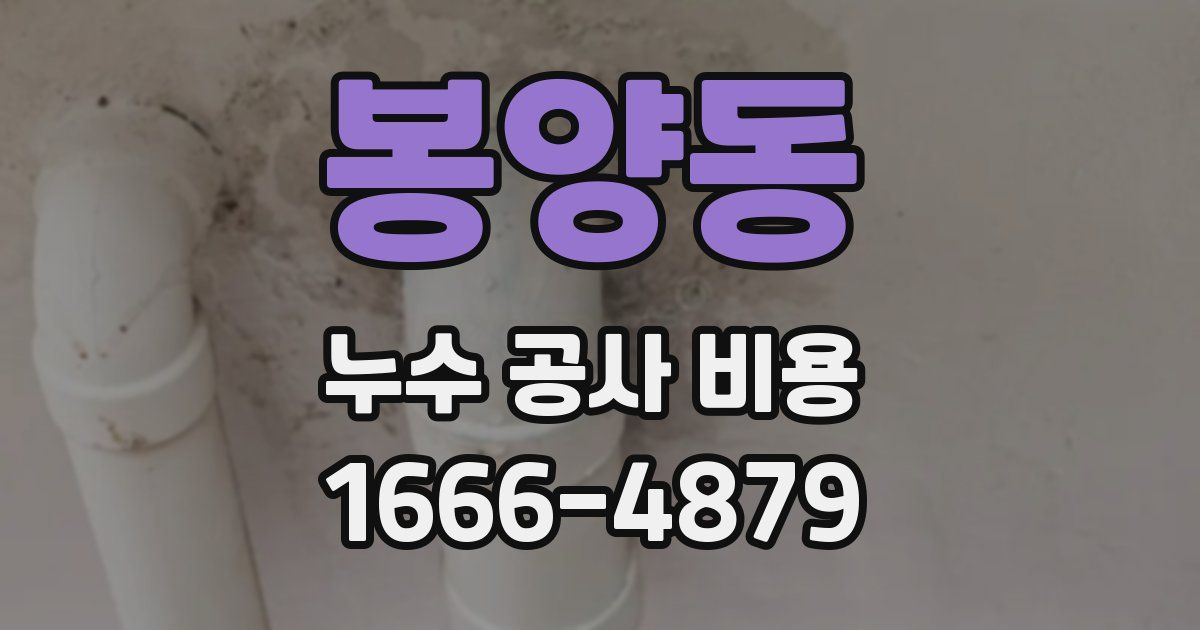 봉양동 누수 공사 비용
