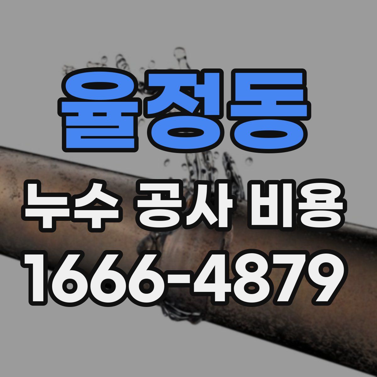 율정동 누수 공사 비용