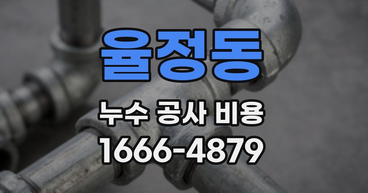 율정동 누수 공사 비용
