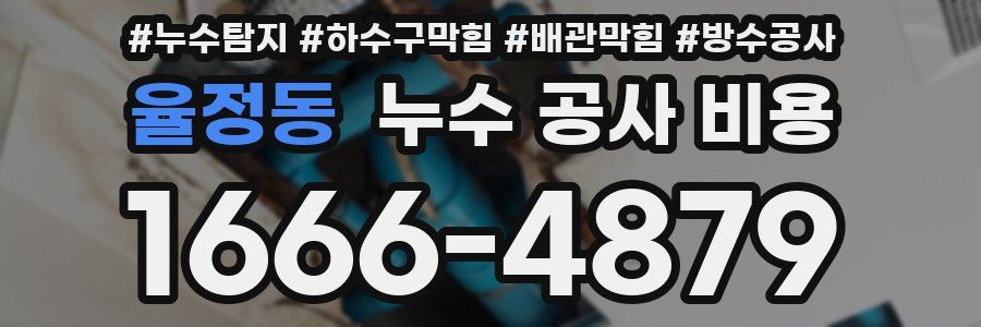 율정동 누수 공사 비용
