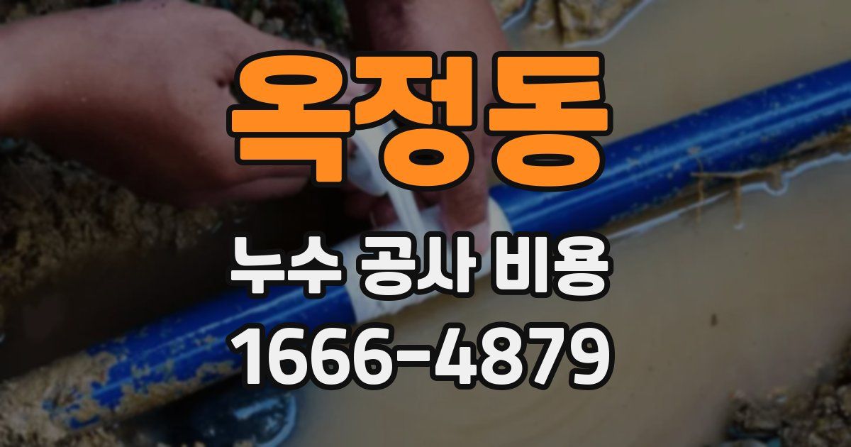 옥정동 누수 공사 비용