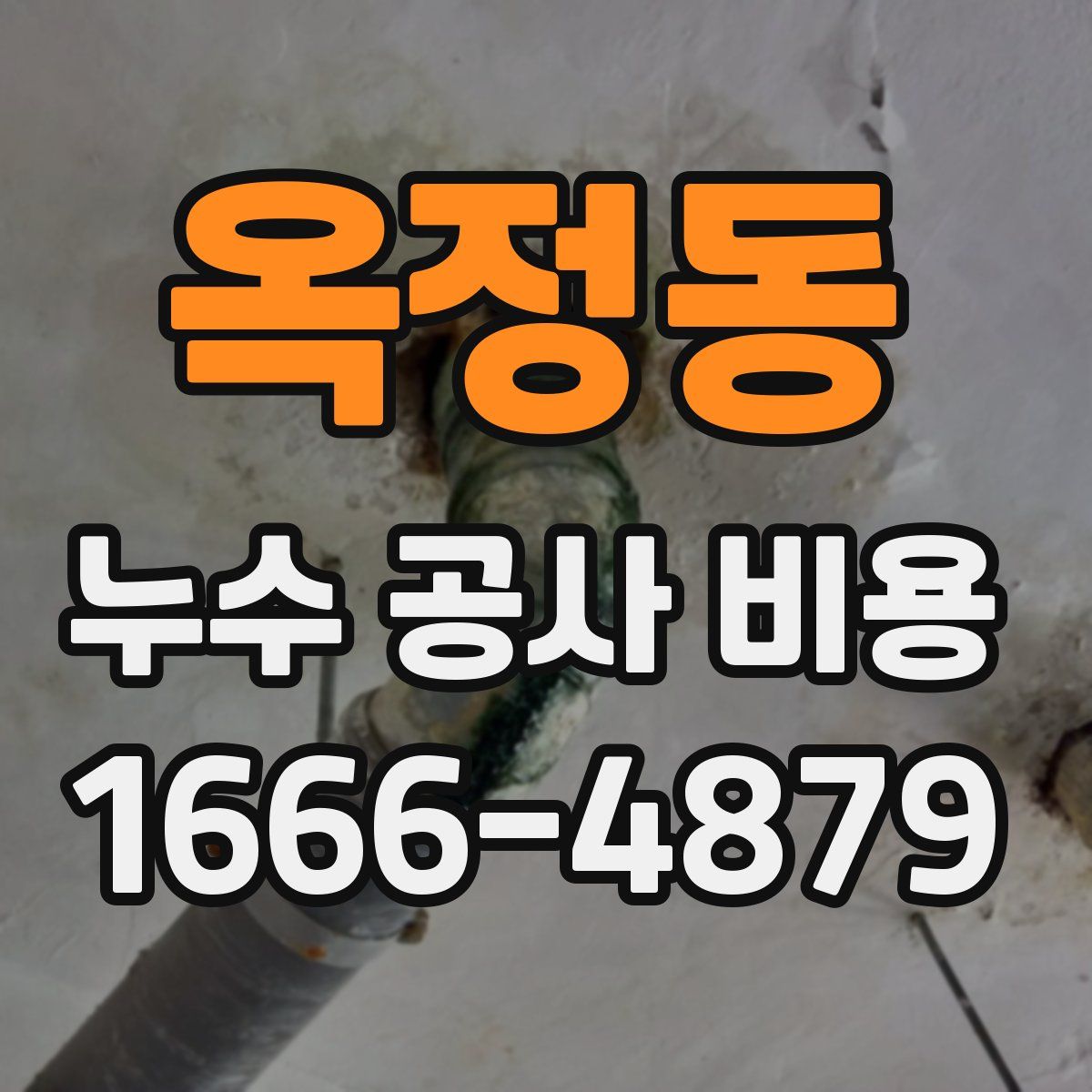 옥정동 누수 공사 비용
