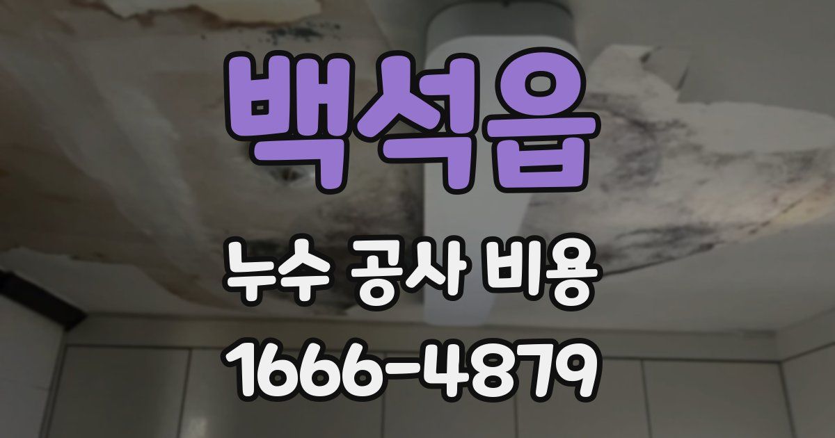 백석읍 누수 공사 비용