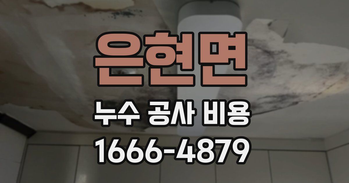 은현면 누수 공사 비용