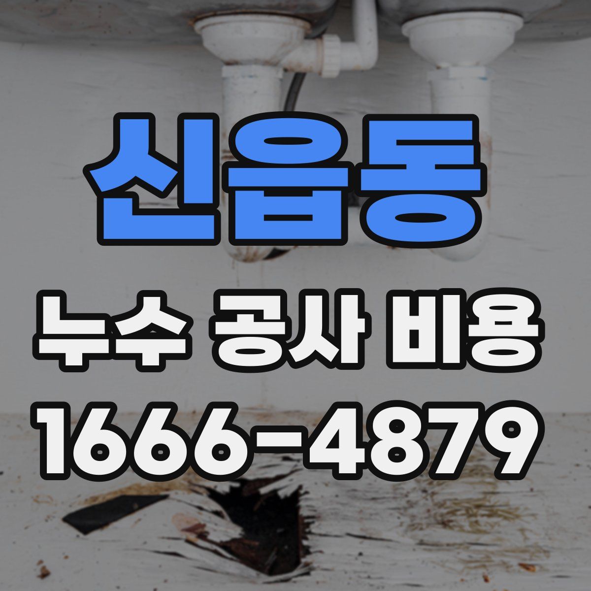 신읍동 누수 공사 비용