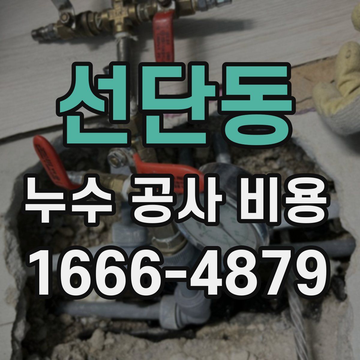 선단동 누수 공사 비용