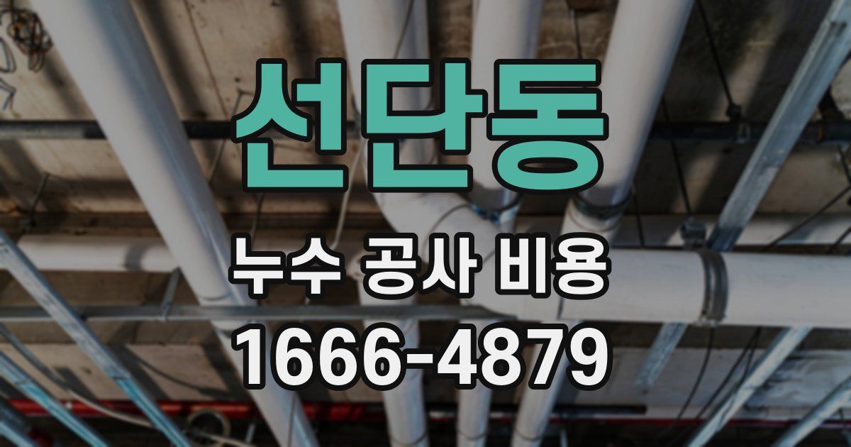 선단동 누수 공사 비용