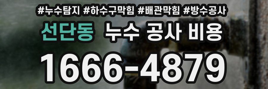 선단동 누수 공사 비용