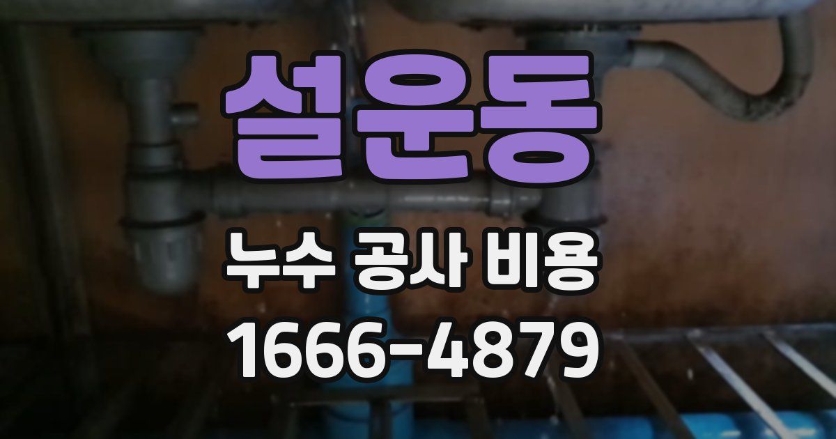 설운동 누수 공사 비용