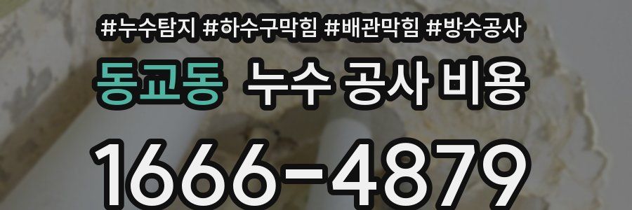동교동 누수 공사 비용