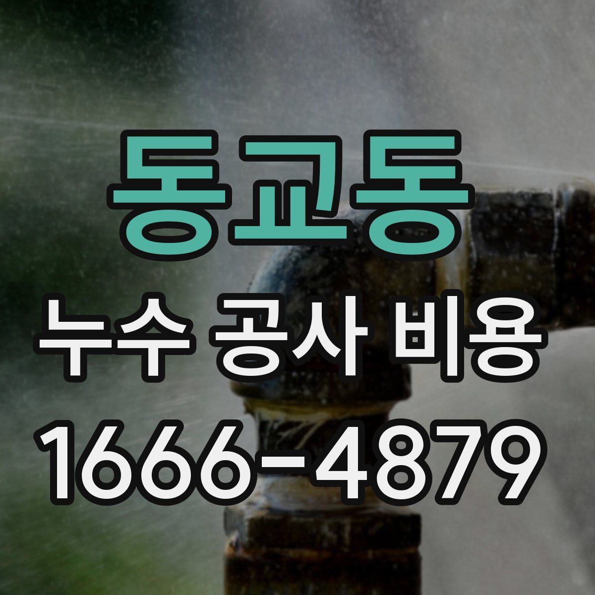 동교동 누수 공사 비용