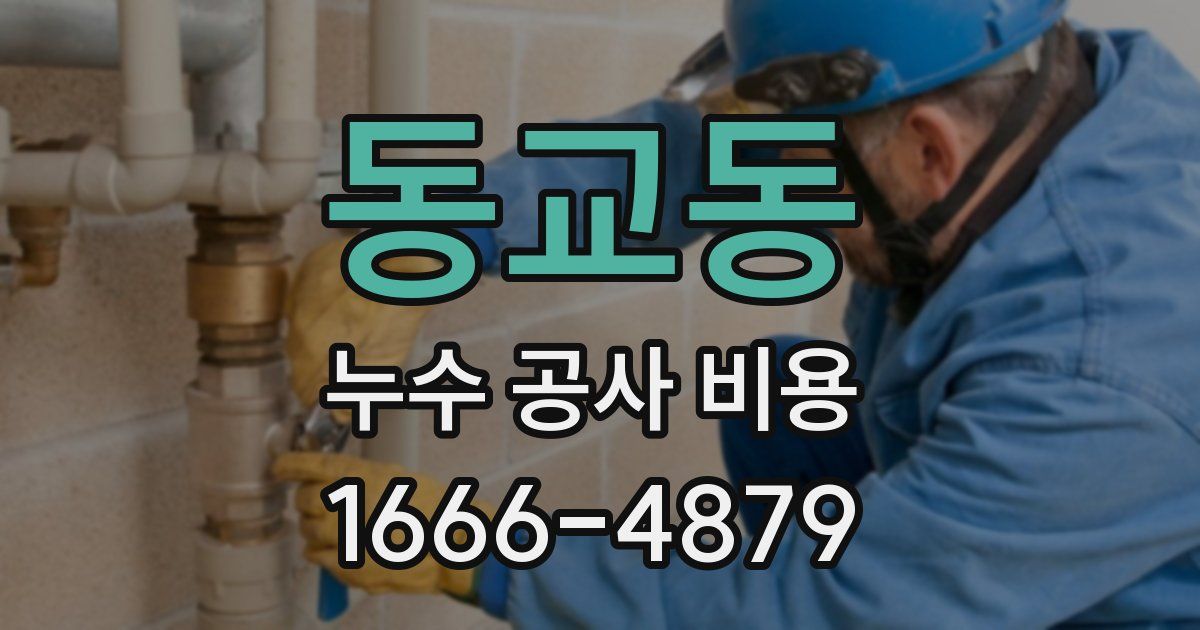 동교동 누수 공사 비용