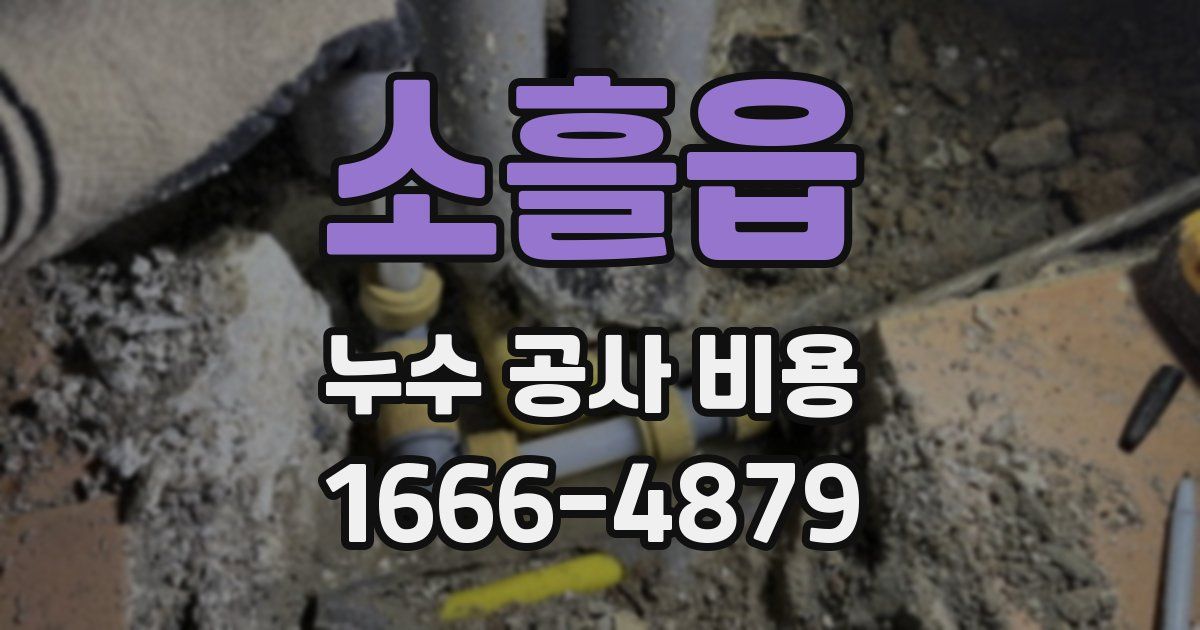 소흘읍 누수 공사 비용