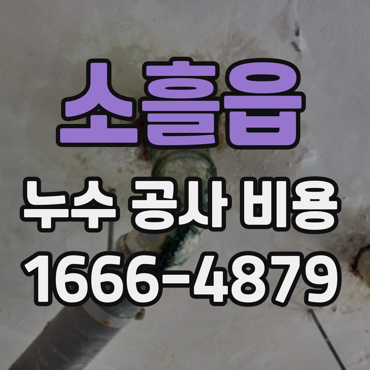 소흘읍 누수 공사 비용