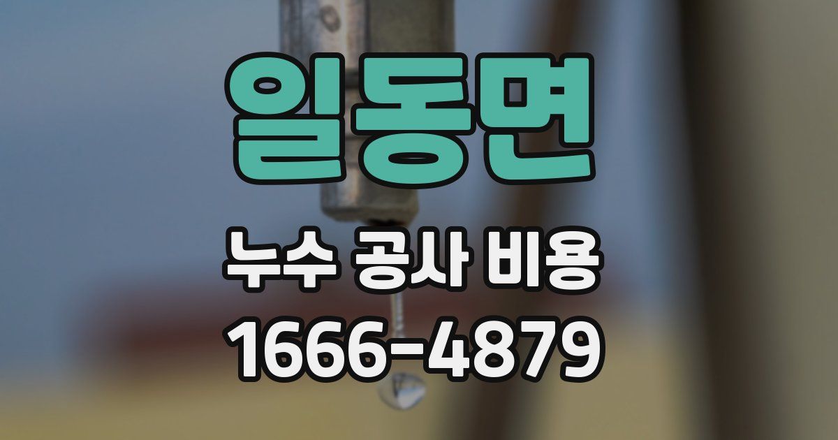 일동면 누수 공사 비용