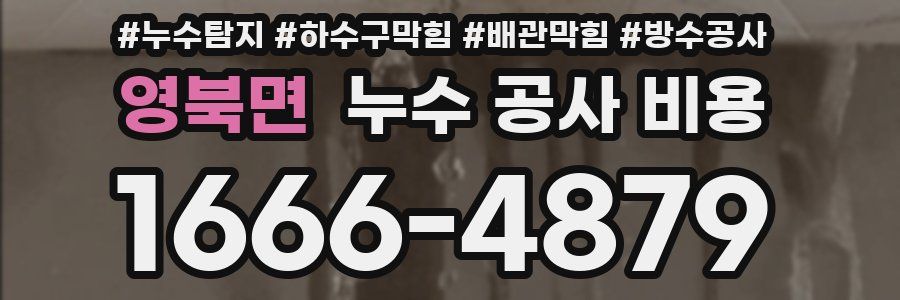 영북면 누수 공사 비용