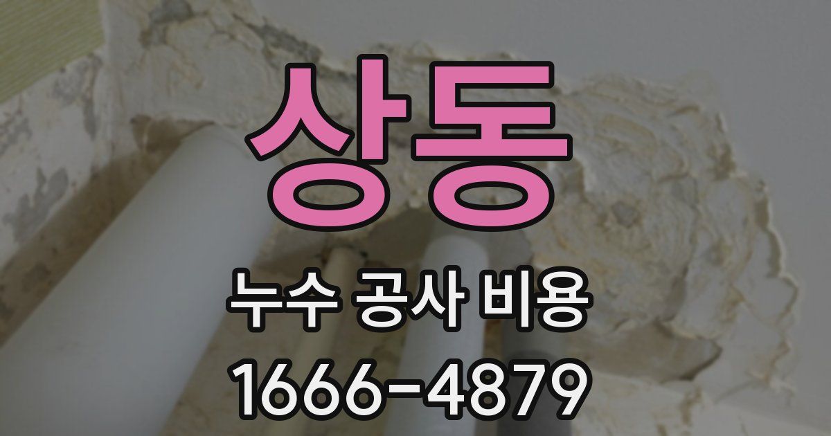 상동 누수 공사 비용