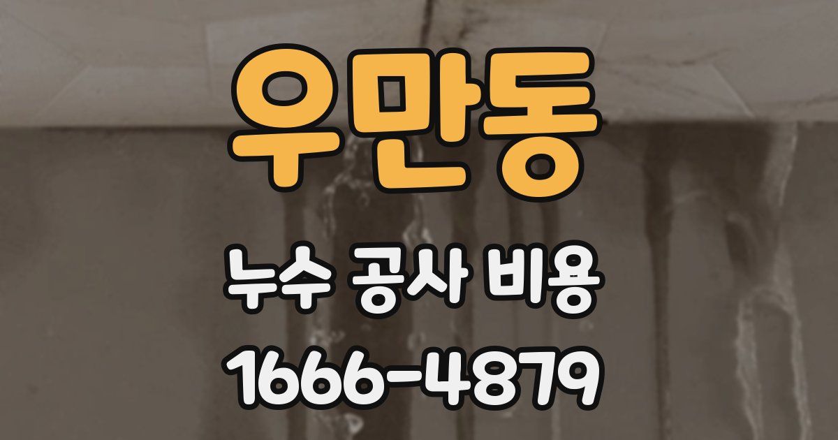 우만동 누수 공사 비용
