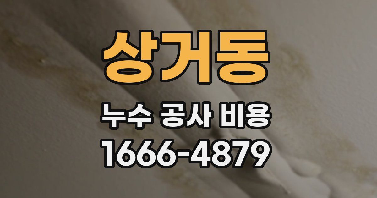 상거동 누수 공사 비용