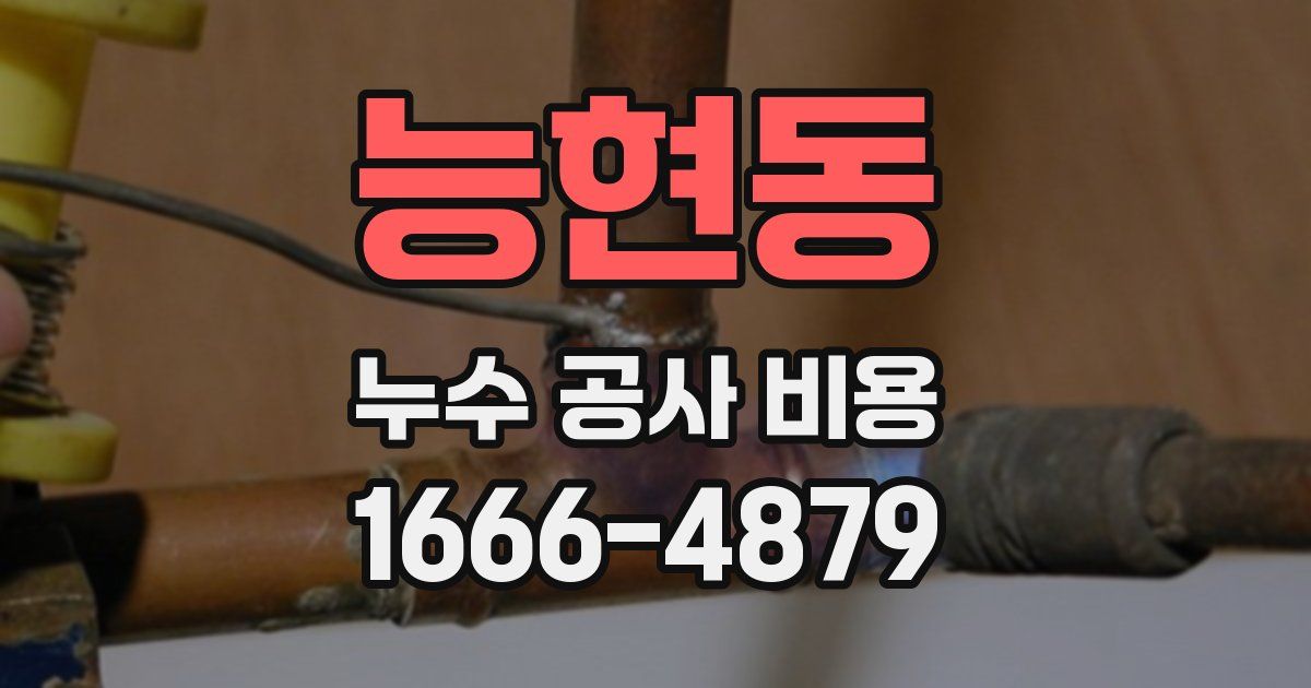 능현동 누수 공사 비용