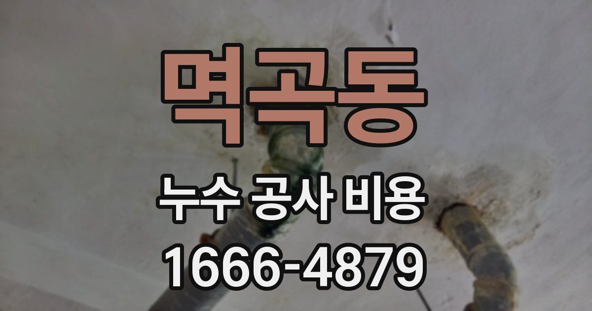 멱곡동 누수 공사 비용