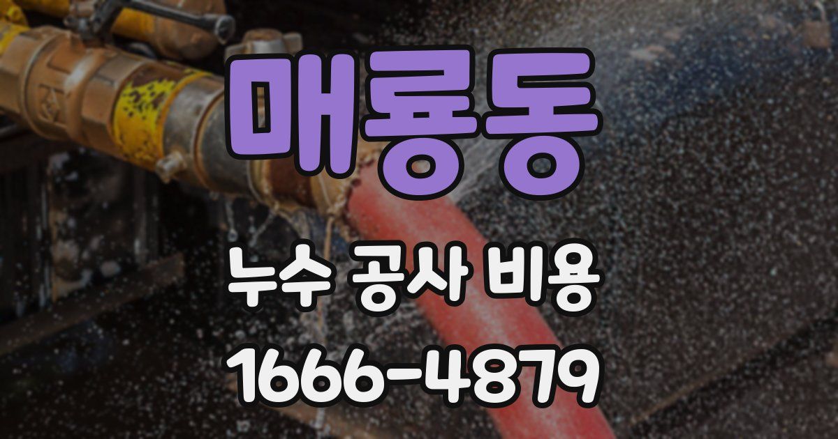 매룡동 누수 공사 비용