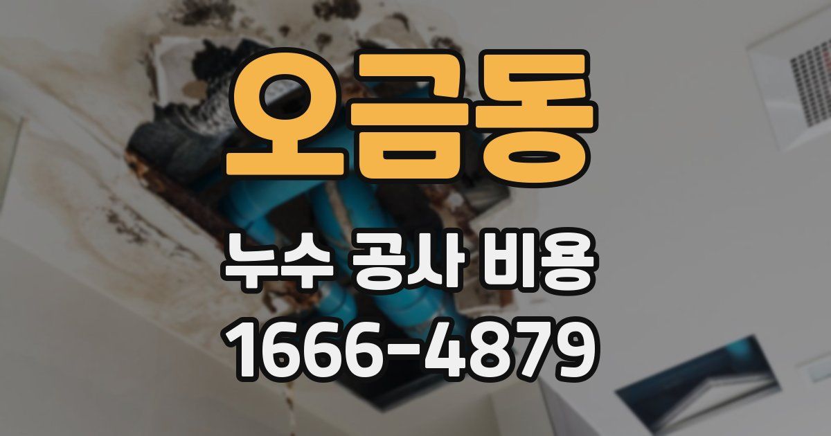 오금동 누수 공사 비용
