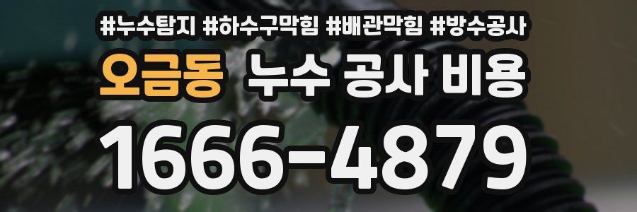 오금동 누수 공사 비용