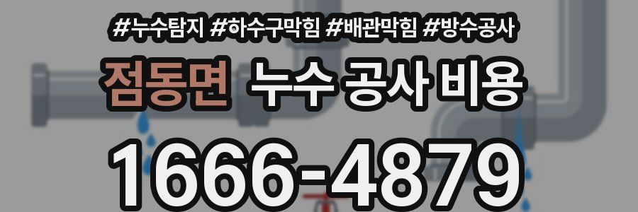 점동면 누수 공사 비용