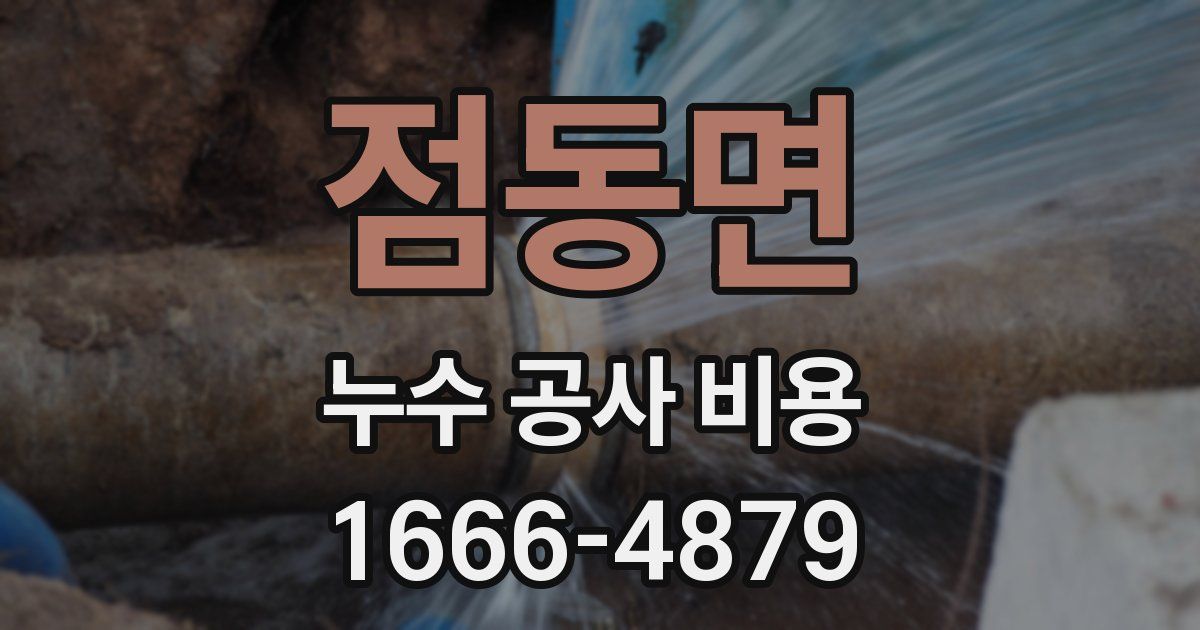 점동면 누수 공사 비용